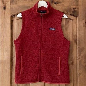 Patagonia Sweater Vest